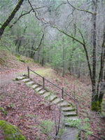 Path to Cabins